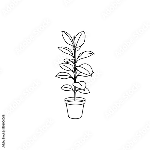 Thin linear icon of fiddle leaf fig plant in pot in minimal style