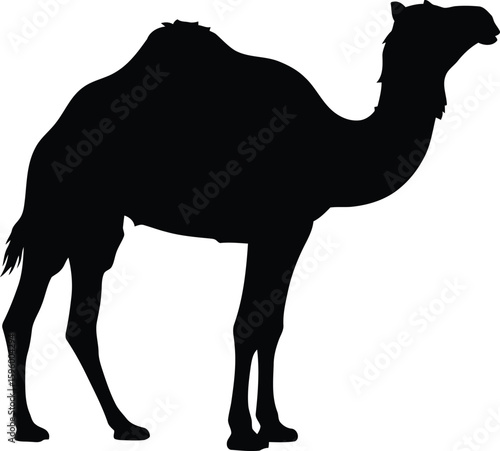 Vector art of camel silhouette isolated on transparent background