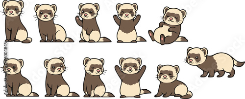 vector illustration of ferret weasel civet funny cute cartoon mascot character cartoon with 11 poses 