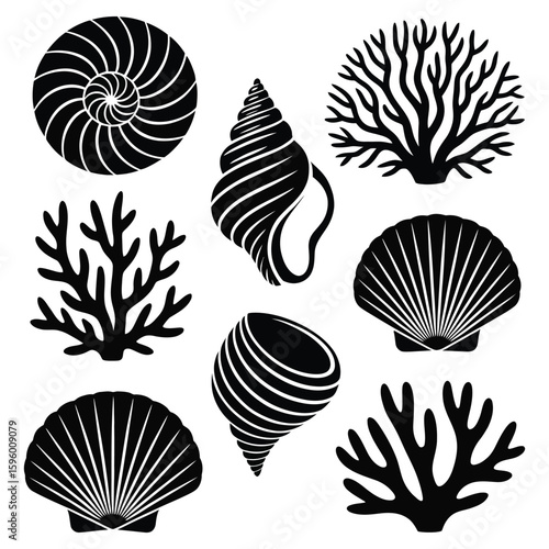 Black silhouettes of seashells and coral on a white background nautilus shell scallop shell
