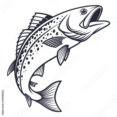 Dogfish  fish vector illustration perfect for posters, icon, t-shirts, cards, wall art prints and ai design.