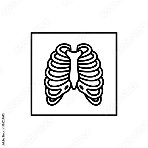 A line art icon of a human rib cage x ray, representing anatomy, medicine, and skeletal system structure design.