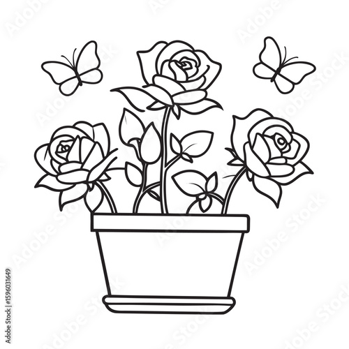 blooming roses in a flower pot on windowsill  and butterfly kids for colouring page
