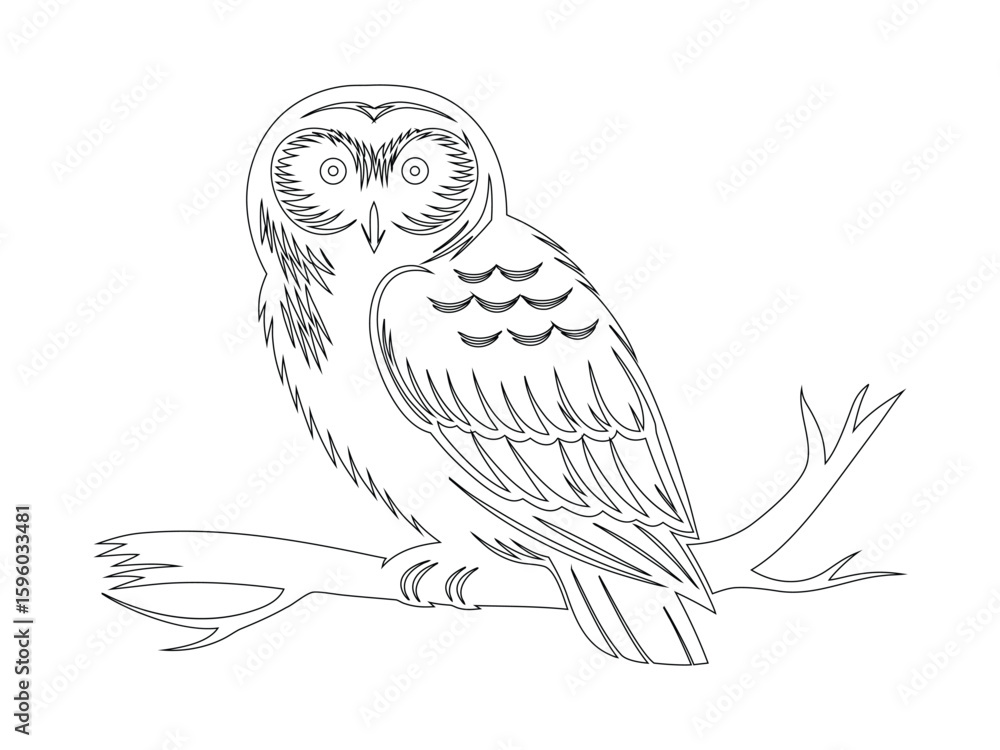 Fototapeta premium Perched Owl Line Art Silhouette on Branch Illustration