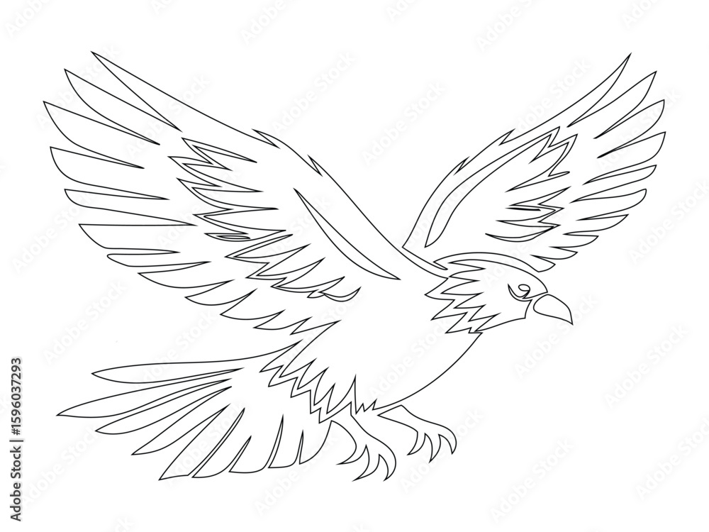 Obraz premium Flying Bird line art with Spread Wings Illustration