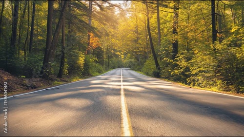 A cinematic video of a peaceful forest road during golden hour. Warm sunlight gently filters through the trees, casting glowing rays and sparkles on the asphalt. 