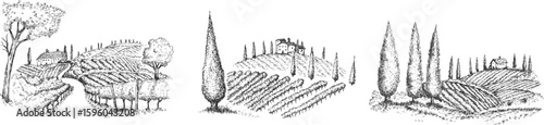Vineyard landscape field with winery house or farm building in vintage engraved style. Hand drawn monochrome vector illustration.