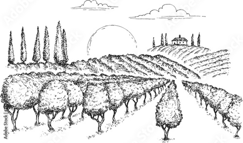 Vineyard landscape field with winery house or farm building in vintage engraved style. Hand drawn monochrome vector illustration.