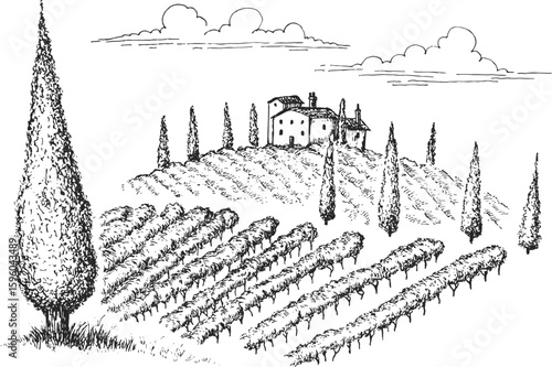 Vineyard landscape field with winery house or farm building in vintage engraved style. Hand drawn monochrome vector illustration.