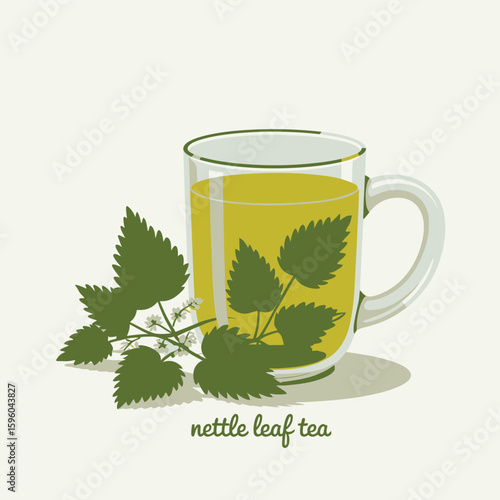 Glass mug filled with healthy nettle leaf tea and fresh green nettle leaves