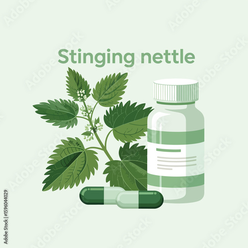 Stinging nettle plant with herbal supplement capsules and bottle
