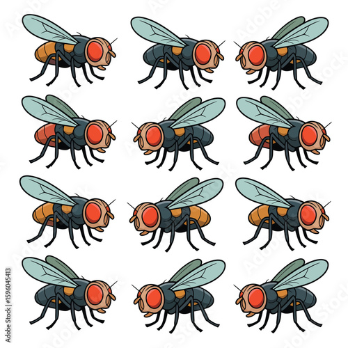 A collection of twelve realistic illustrations of common house flies