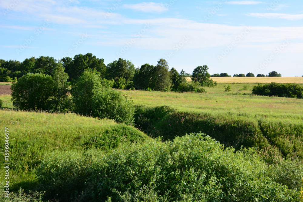 Obraz premium Green valley with trees and hills and blue sky