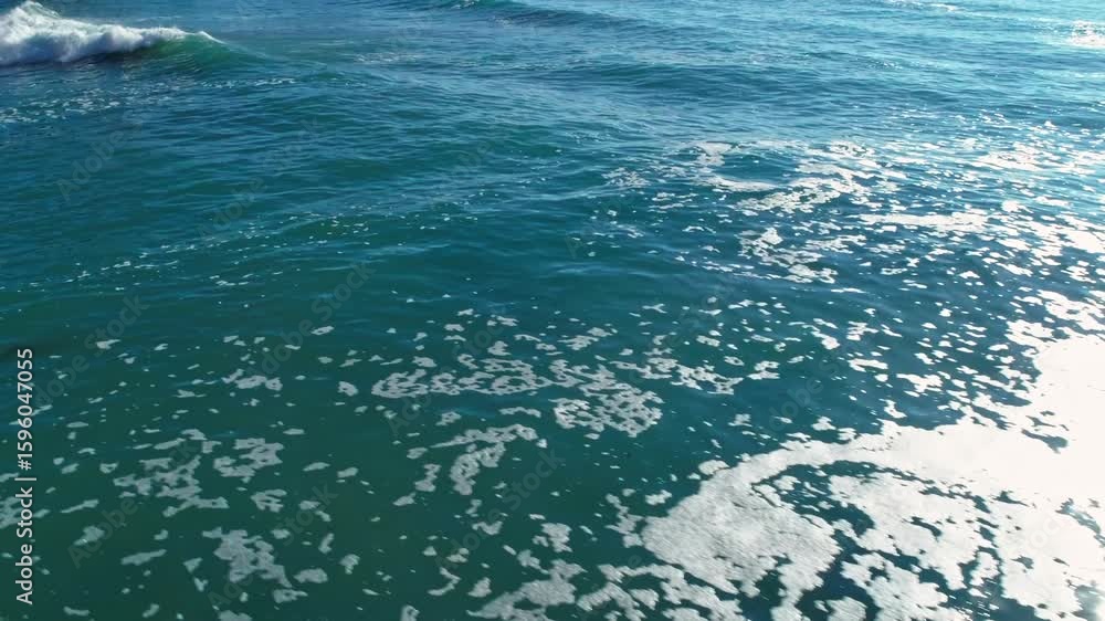 Waves crash in the Pacific Ocean, creating white foam. Kelp floats on the surface, providing habitat for marine life. Big Sur, California, USA Waves crash in the Pacific Ocean, creating white foam. Kelp floats on the surface, providing habitat for marine life. Big Sur, California, USA