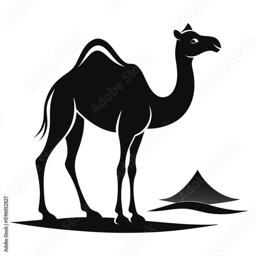 Black Silhouette Camel in Sahara