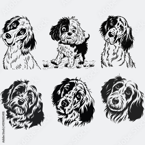 English Setter svg, dog svg files for Cricut, hunting breed clipart dxf, vector