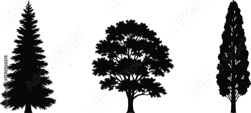 Tree silhouette vector illustration, pine tree, oak tree, cypress tree, botanical shape, forest element, cad style, black white, nature icon, isolated tree graphic, landscape concept, foliage artwork