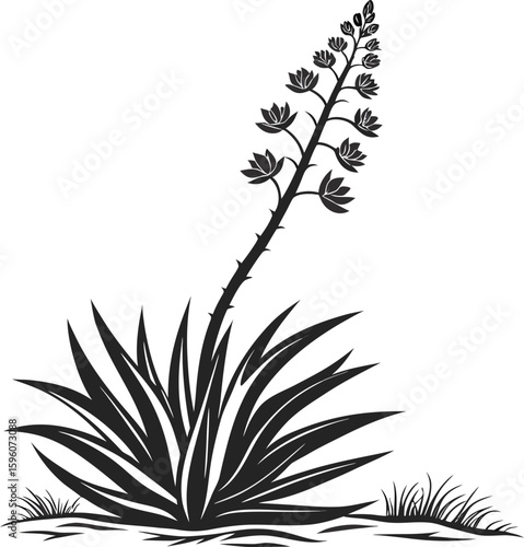 Vector art of a black and white drawing of a flowering plant with spiky leaves and a tall stalk
