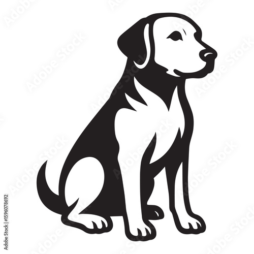 black labrador retriever dog