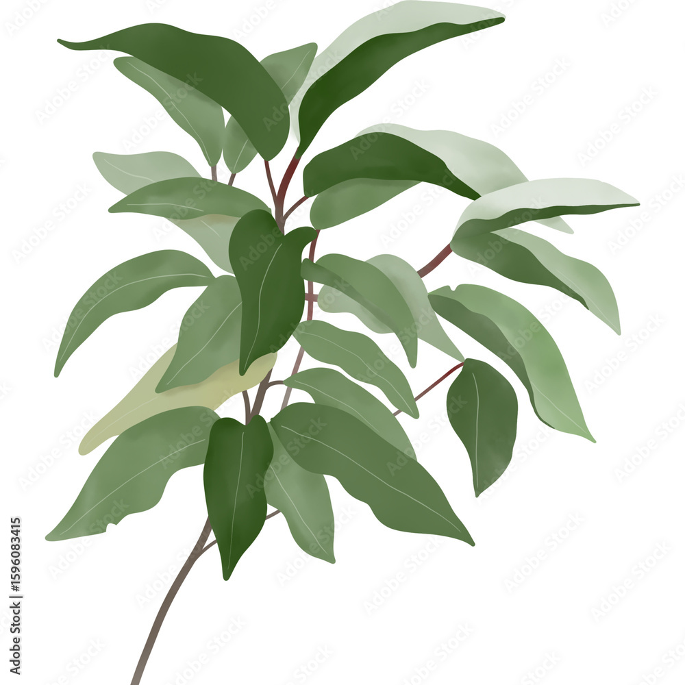A watercolor illustration of a leafy green branch with multiple long, flowing leaves in various shades of green. The texture adds a natural,handmade feel,perfect for botanical-themed designs. A watercolor illustration of a leafy green branch with multiple long, flowing leaves in various shades of green. The texture adds a natural,handmade feel,perfect for botanical-themed designs.