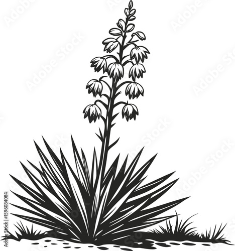 Vector art of a detailed black and white illustration of a blooming yucca plant with spiky leaves