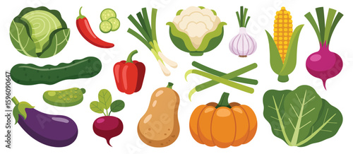 Assortment of fresh vegetables and produce on white background