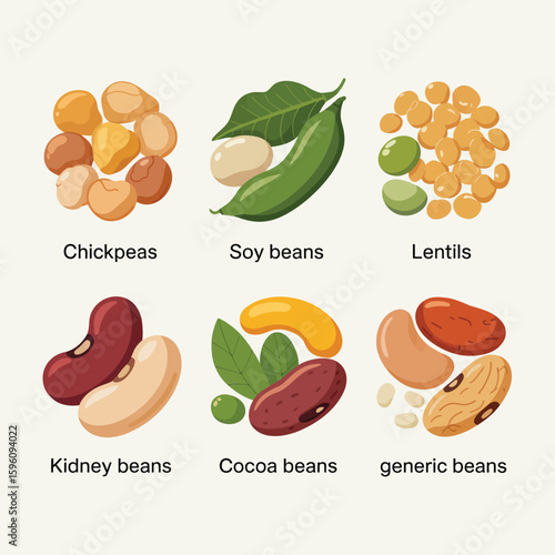 Collection of six different types of beans and legumes