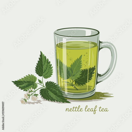 Glass mug filled with green nettle leaf tea and fresh nettle sprigs