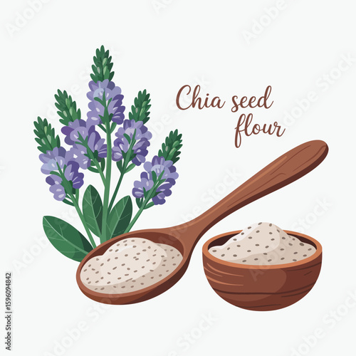 Healthy chia seed flour with fresh chia plant and wooden spoon
