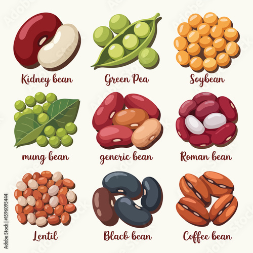 A colorful assortment of nine different types of beans and peas