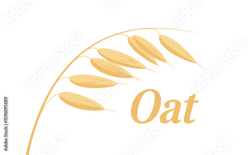 Golden oat stalk with the word oat in yellow text