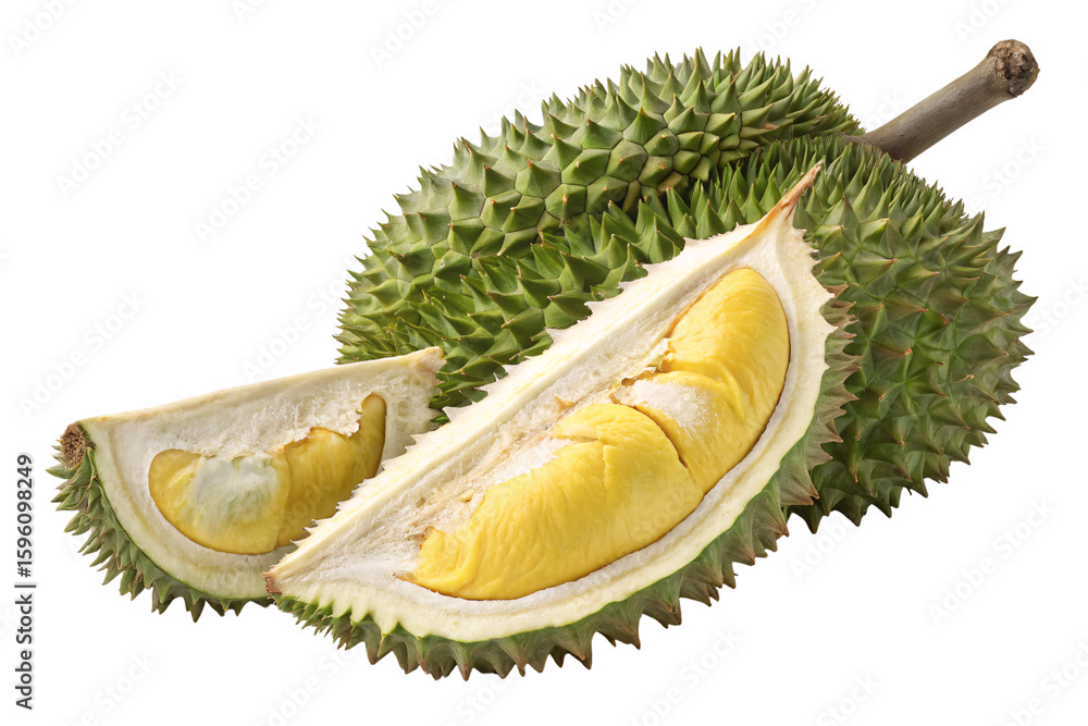 Fototapeta premium Large opened durian with yellow flesh segments visible inside spiky green shell, isolated on a transparent background