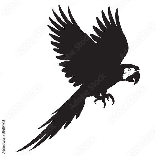 Black Silhouette Of Flying Macaw Parrot With Open Wings On White Background.