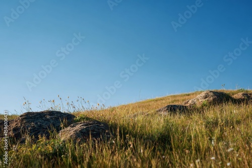Gentle grassy hill beneath a clear and vivid blue sky