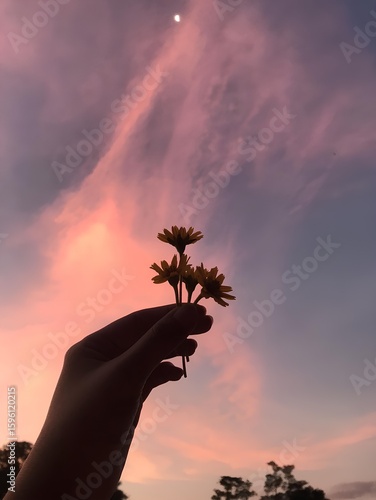 Hand Holding Yellow Flowers At Sunset