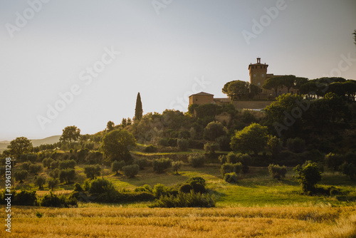 tuscany landscape with church and tree