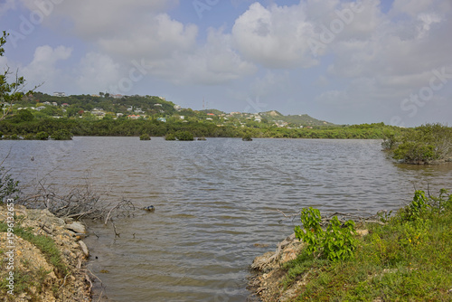McKinnon's Salt Pond Nature Reserve, near St John's, Antigua, West Indies.