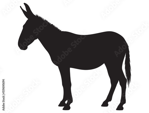 MULE SILHOUETTE