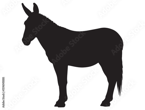 MULE SILHOUETTE