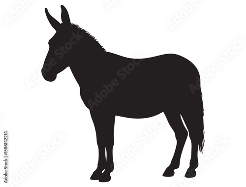 MULE SILHOUETTE