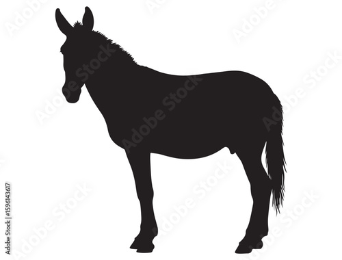 MULE SILHOUETTE