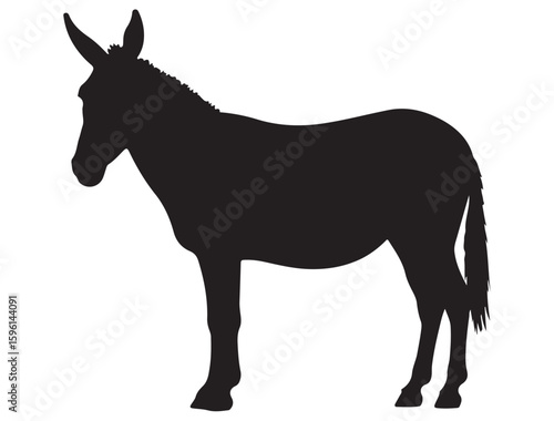 MULE SILHOUETTE