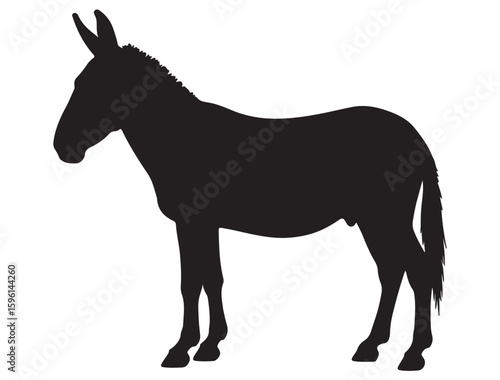 MULE SILHOUETTE