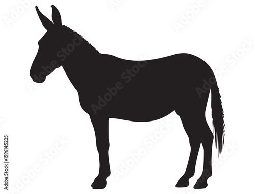 MULE SILHOUETTE