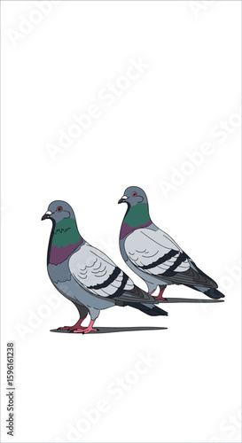 Two pixelated pigeons standing together against a white background showing their feather details