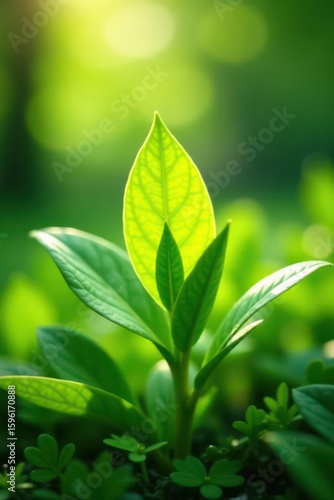 Vibrant green shoots emerge, sunlight dappled on new leaves , budding, natural, awakening