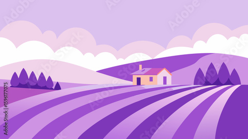 rolling lavender fields farmhouse distance