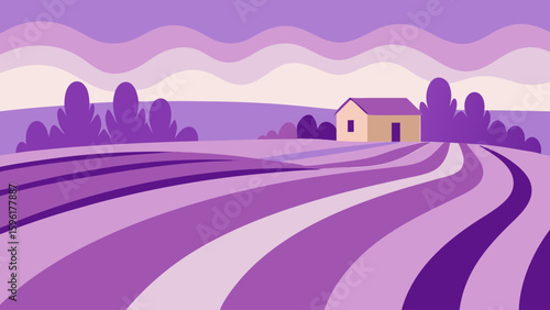 rolling lavender fields farmhouse distance