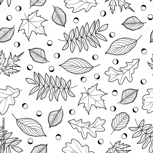 Seamless Autumn Leaf Pattern. A clean seamless vector pattern with outlined oak, ash, and maple leaves in black on white.