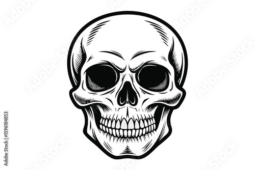 Frontal Illustration of a Human Skull with Bold Outlines and Details